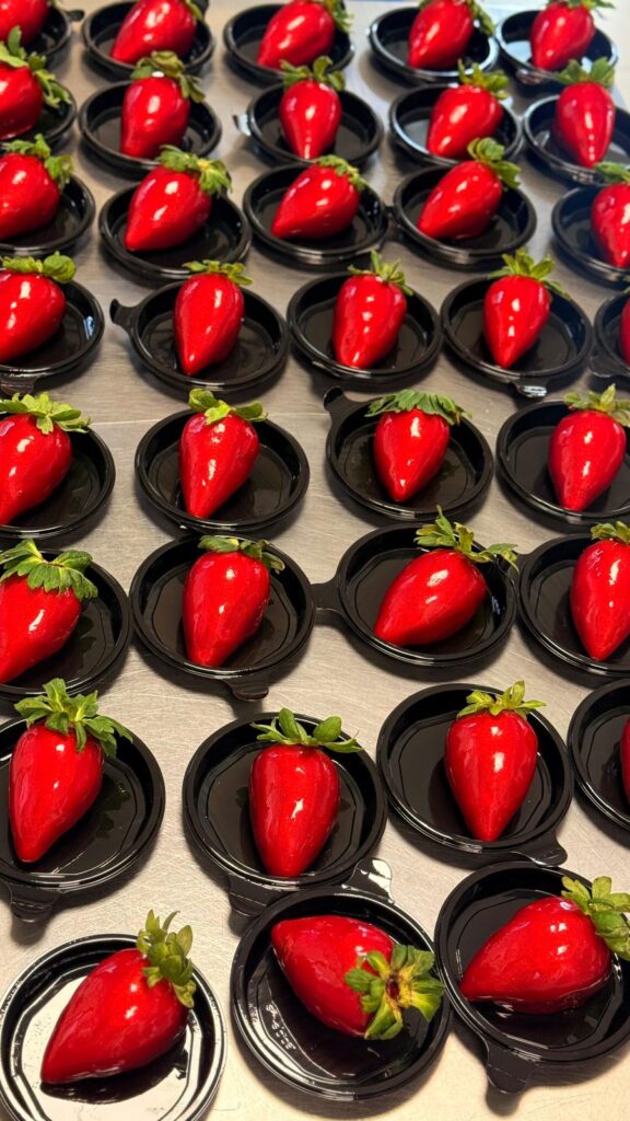 PHOTO-2025-07-12-14-54-06-3-576x1024